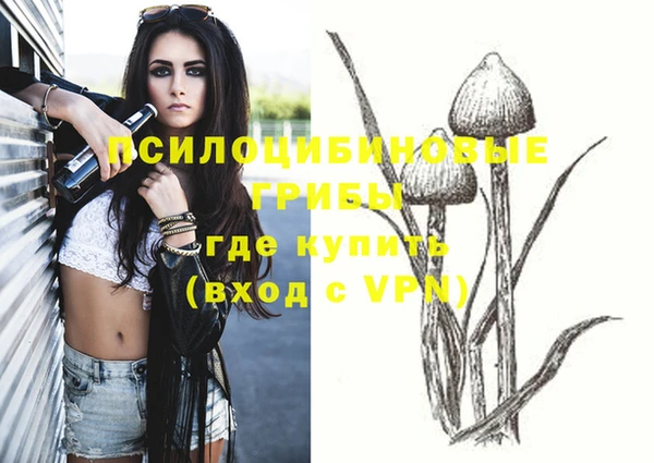 круглые Богданович