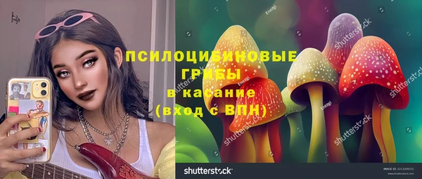 хмурый Богородицк