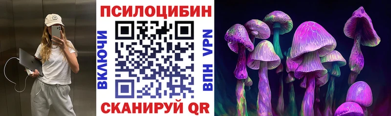 Псилоцибиновые грибы Psilocybine cubensis  Духовщина 
