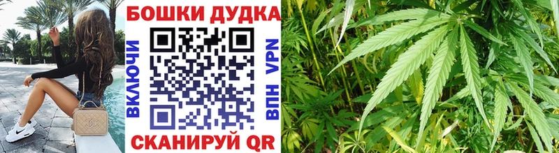 как найти закладки  Духовщина  Бошки марихуана конопля 